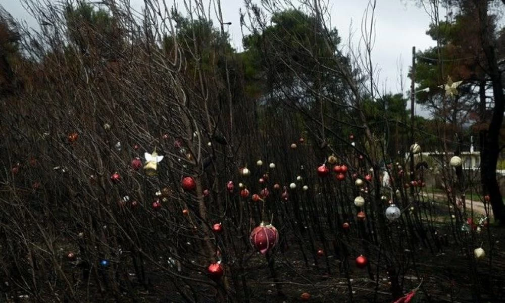 Η πυρόπληκτη Βαρυμπόμπη στολίζει τα καμμένα δέντρα της